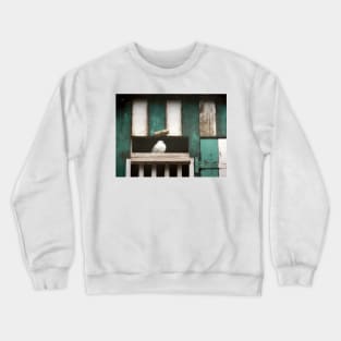 The Homing Dove Crewneck Sweatshirt